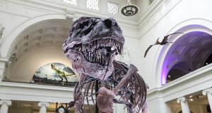 Places Every Dinosaur Fan Needs To Visit