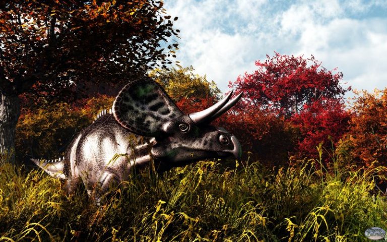 Zuniceratops by deskridge 
