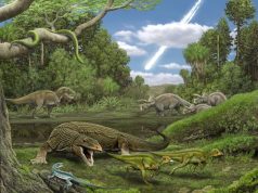 Mesozoic Era
