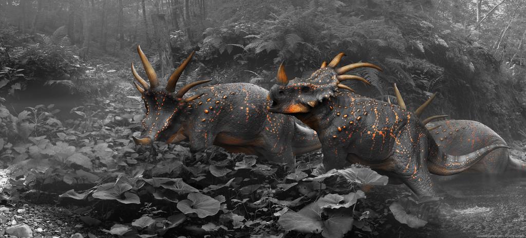 Styracosaurus B n W by damir-g-martin