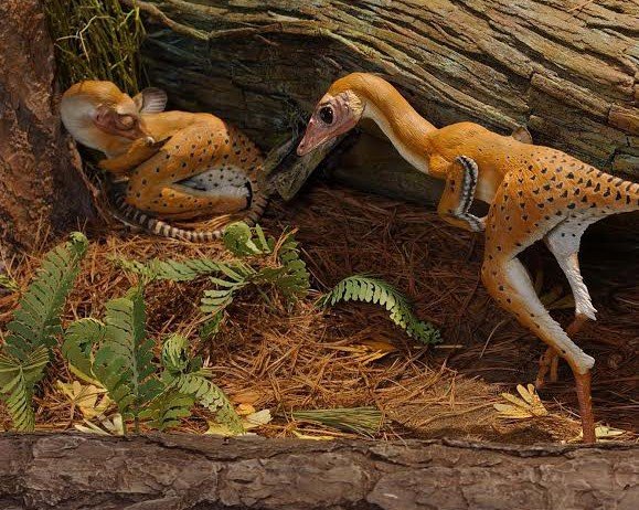 Dinosaurs Live on Land