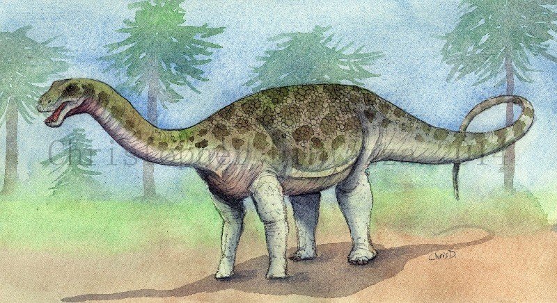 Saltosaurus
