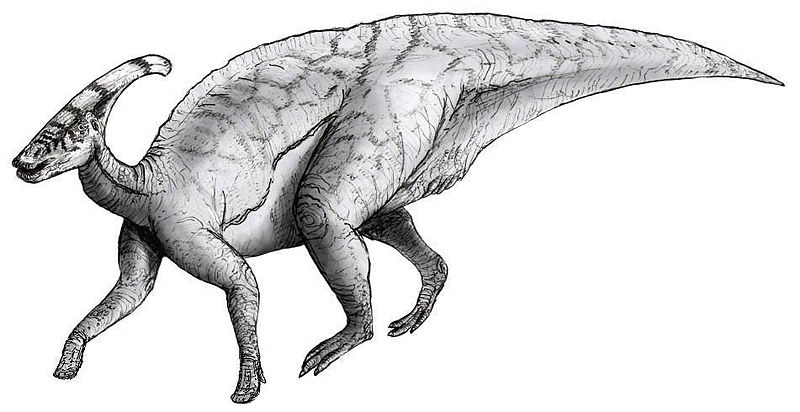 Sketch_parasaurolophus