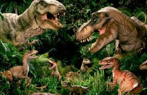 Types of dinosaurs
