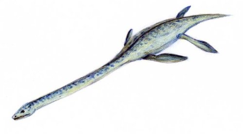 Elasmosaurus