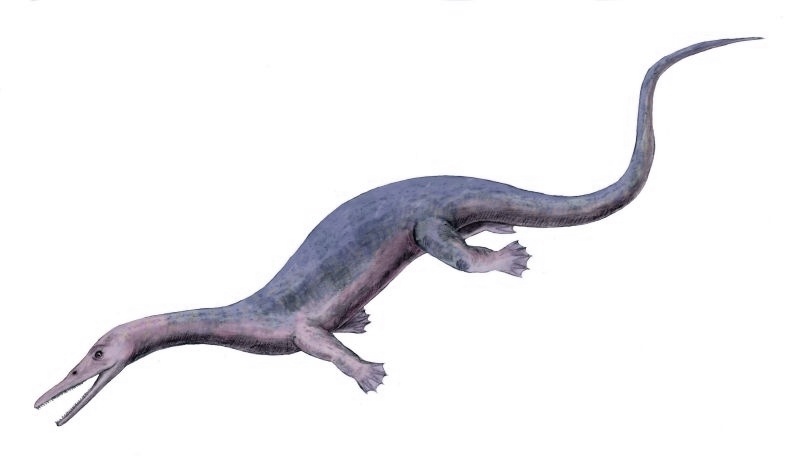 Askeptosaurus