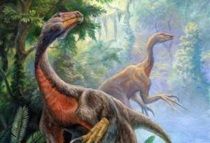 Beipiaosaurus