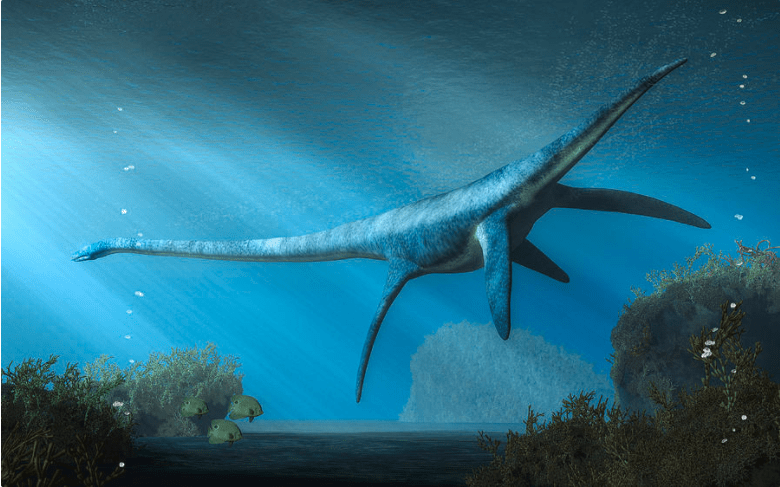 Elasmosaurus