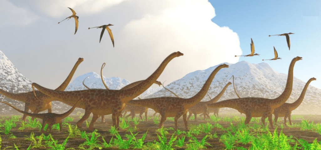 Diplodocus