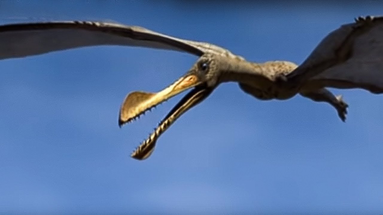 Flying dinosaurs