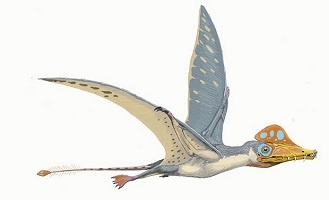 Scaphognathus 